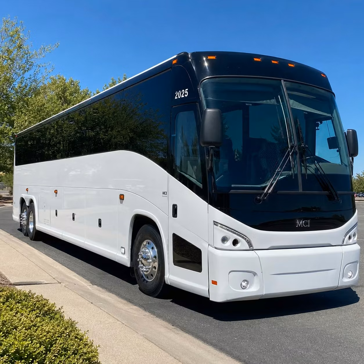 manteca youth group and confirmation class transportation